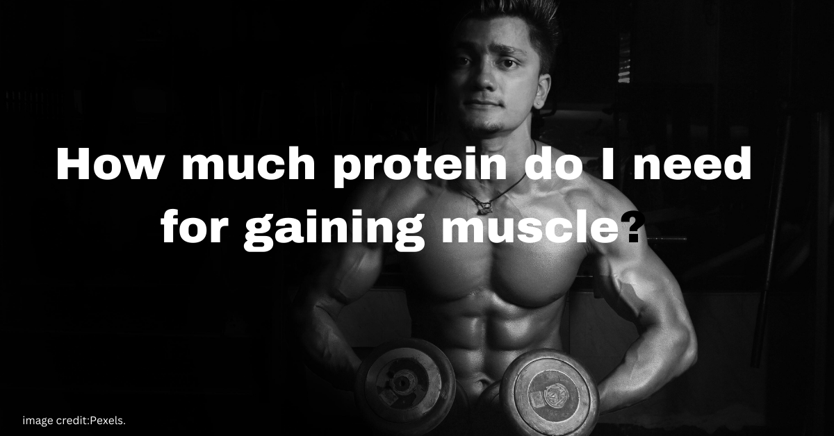 How Much Protein Do I Need for Gaining Muscle?The Ultimate Guide