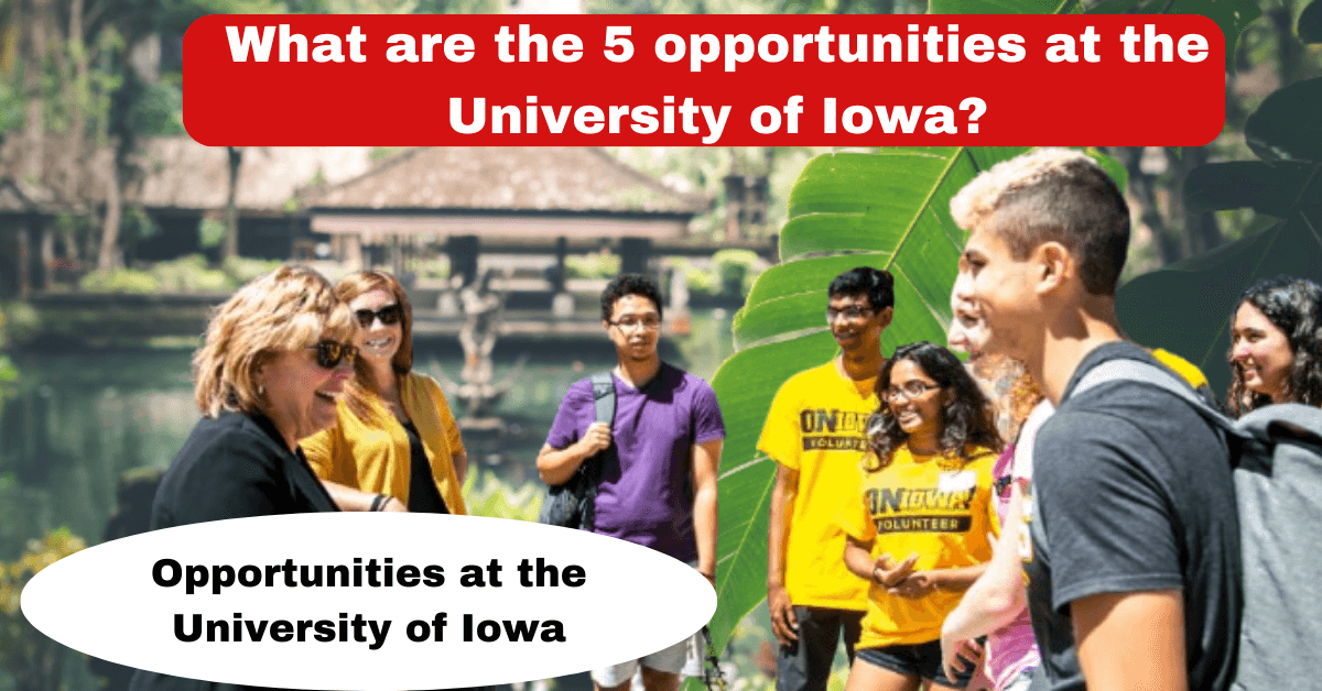 What are the 5 opportunities at the University of Iowa? Opportunities at the University of Iowa